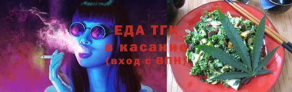 индика Бородино
