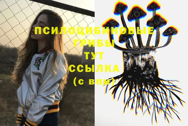 a pvp Бугульма