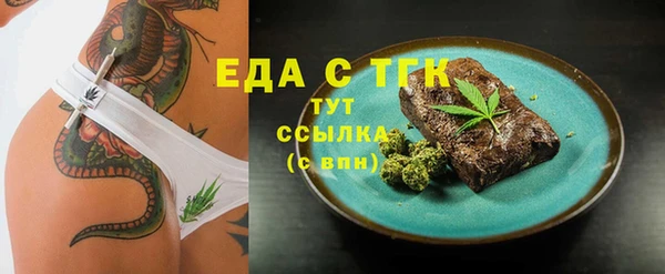 индика Бородино