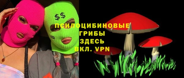 a pvp Бугульма