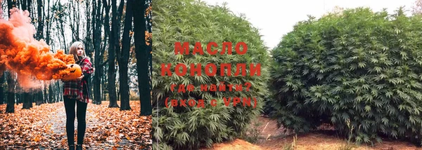 индика Бородино