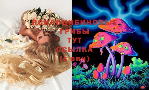 индика Бородино