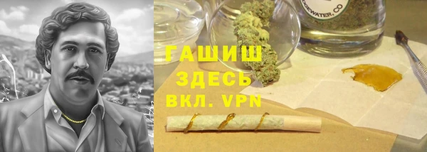 прущие грибы Верхний Тагил