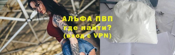 индика Бородино