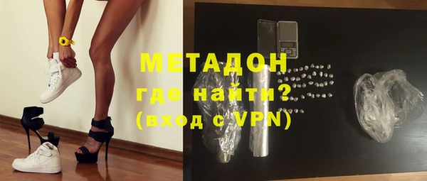 индика Бородино