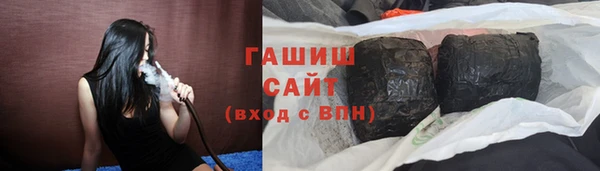 индика Бородино