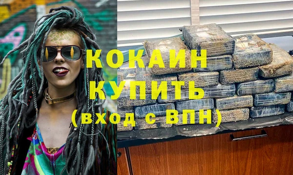 индика Бородино