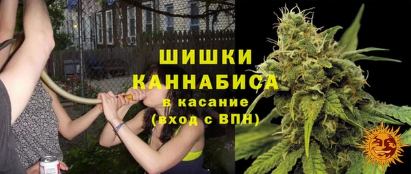 прущий лед Богданович