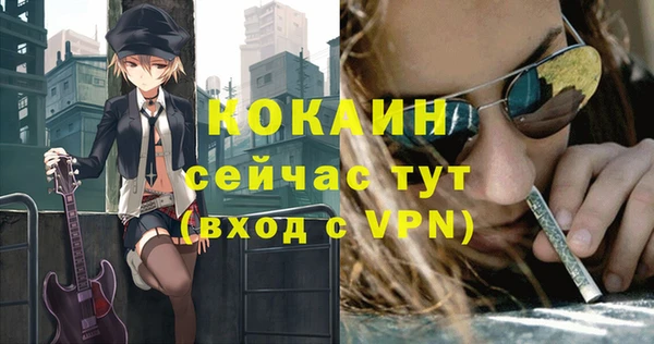 индика Бородино