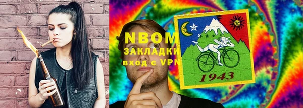 индика Бородино