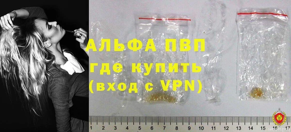 прущий лед Богданович