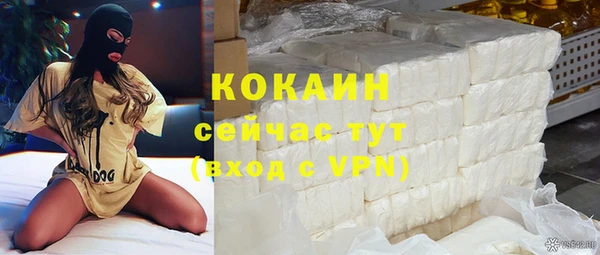 прущий лед Богданович