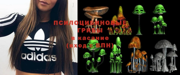 ПСИЛОЦИБИНОВЫЕ ГРИБЫ Богородицк